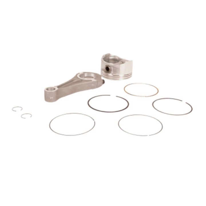 Pistone Assy Pistone/Collegamento nel gruppo  presso GPLSHOP (5985995-01)