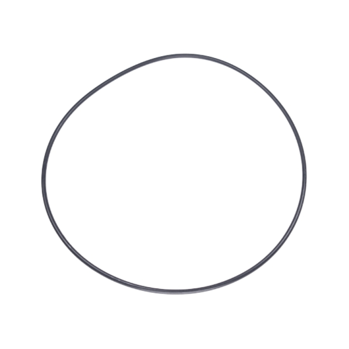 O-Ring 120X3,1 5988602-01 nel gruppo presso GPLSHOP (5988602-01)