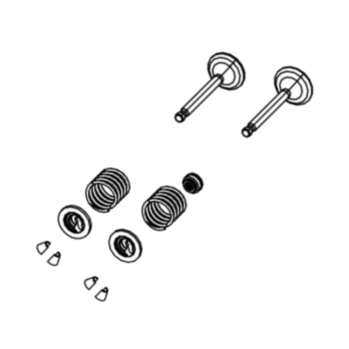 Kit valvola nel gruppo I Pezzi Di Ricambio / Pezzi di ricambio Gräsklippare / Pezzi di ricambio till Motorer / Pezzi di ricambio RATO R210 presso GPLSHOP (5993489-84)