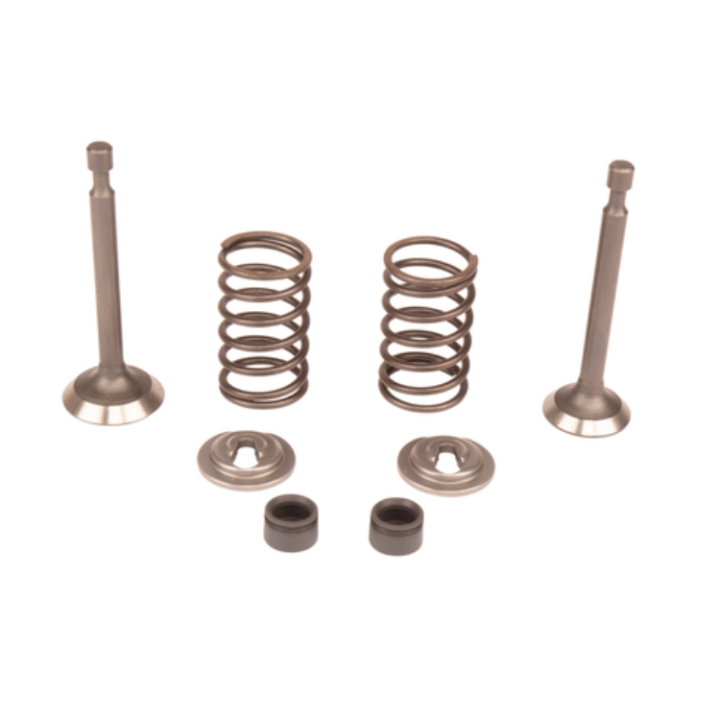 Kit valvola 5993490-42 nel gruppo  presso GPLSHOP (5993490-42)