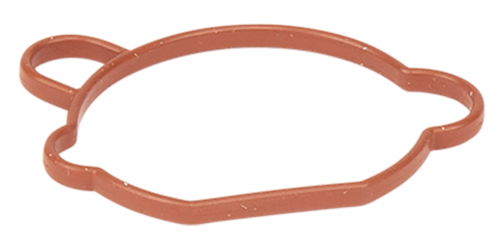Guarnizione Carburatori nel gruppo  presso GPLSHOP (5993490-78)