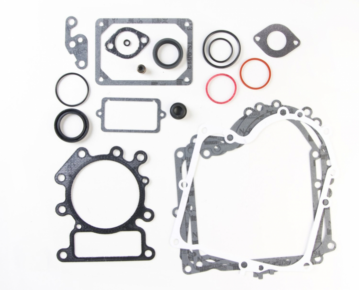 Kit guarnizioni nel gruppo  presso GPLSHOP (690189)