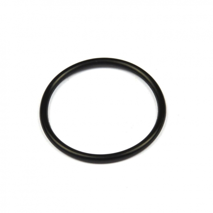 Anello di tenuta nel gruppo  presso GPLSHOP (690589)
