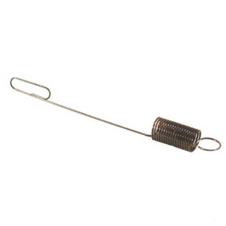 Reg. - Primavera 691292 nel gruppo  presso GPLSHOP (691292)