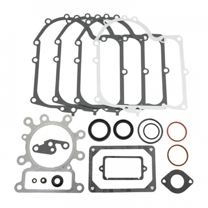 Kit guarnizioni nel gruppo  presso GPLSHOP (691580)