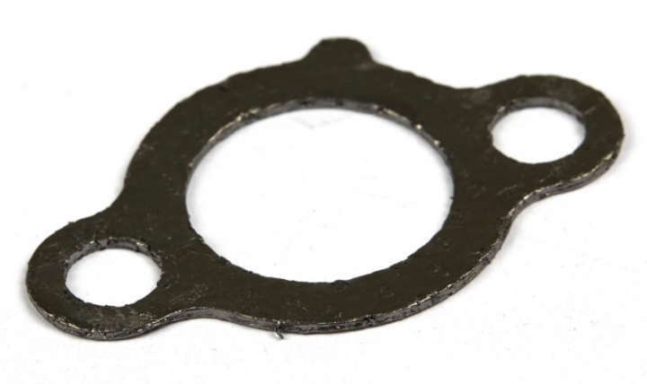 Guarnizione-Scarico nel gruppo  presso GPLSHOP (691613)