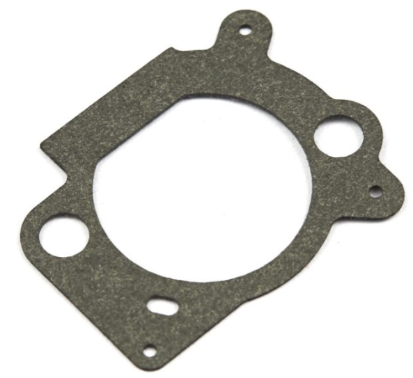 Guarnizione Filtro dell'aria nel gruppo  presso GPLSHOP (691894)