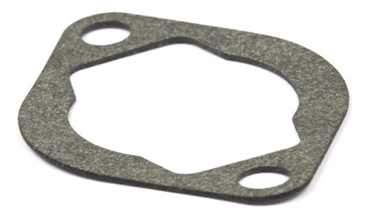 Guarnizione Briggs nel gruppo  presso GPLSHOP (692277)