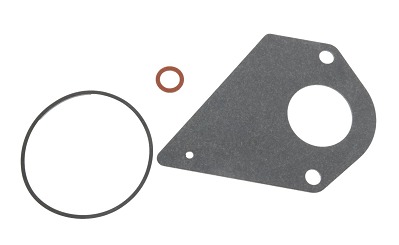 Guarnizione kit riparazione carburatore nel gruppo  presso GPLSHOP (694931)