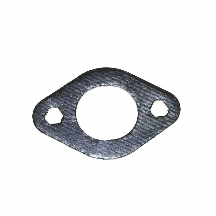 Guarnizione-Scarico nel gruppo  presso GPLSHOP (695398)