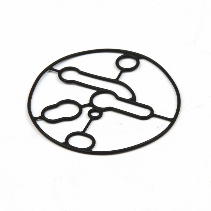 Guarnizione alloggiamento galleggiante nel gruppo  presso GPLSHOP (695426)
