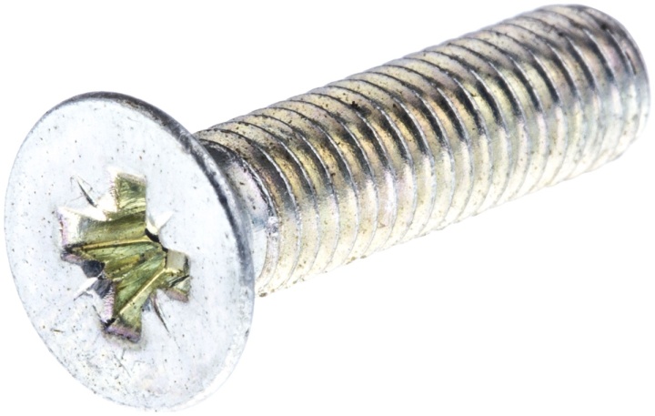 Vite M5X20 7243331-01 nel gruppo  presso GPLSHOP (7243331-01)