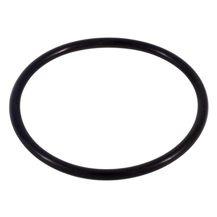 Guarnizione di tenuta 7.1X1.6 nel gruppo  presso GPLSHOP (7404205-00)