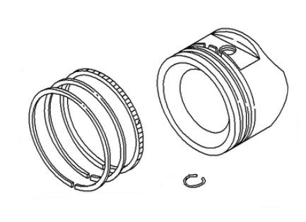  nel gruppo  presso GPLSHOP (793560)