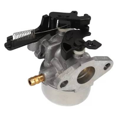 Carburatore nel gruppo I Pezzi Di Ricambio / Ricambi Briggs & Stratton presso GPLSHOP (799226)