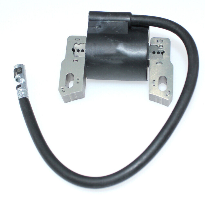 Bobina di accensione nel gruppo  presso GPLSHOP (845606)