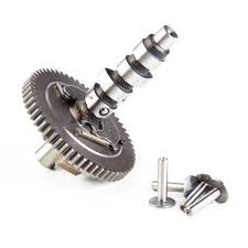 Albero a camme nel gruppo  presso GPLSHOP (845649)
