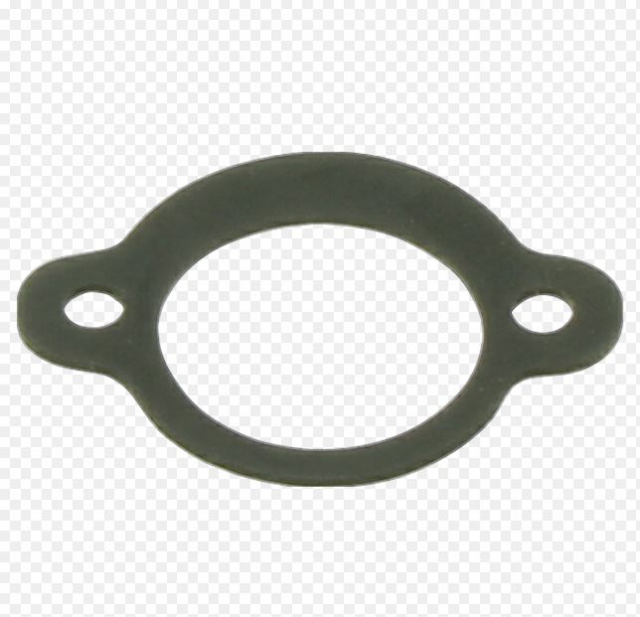 Guarnizione Filtro Aria 5018156-01