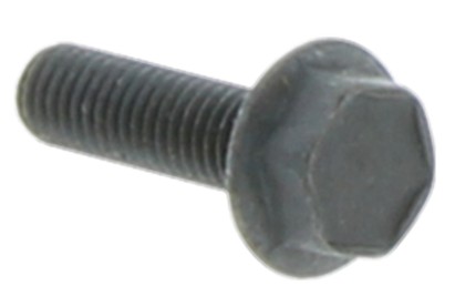 Vite M6Sf 5X18 5032000-21