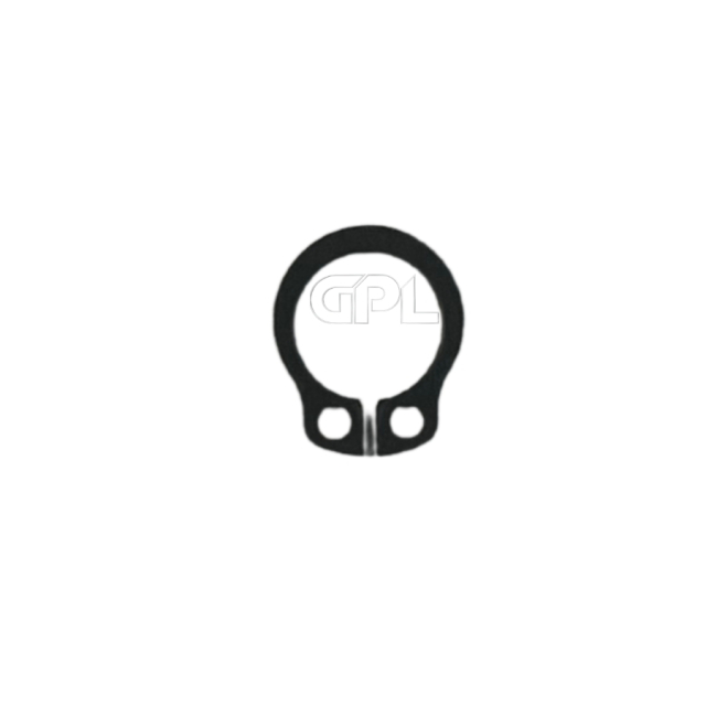 Anello Di Bloccaggio 5044971-01
