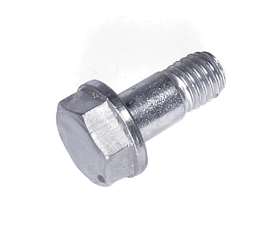 Passaggio A Vite nel gruppo  presso GPLSHOP (5203138-01)