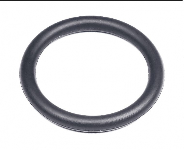 Anello Or 18.4X2.7 5203368-01