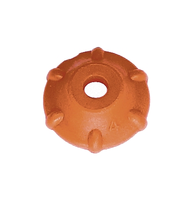 Sostieni La Moglie nel gruppo  presso GPLSHOP (5203408-01)