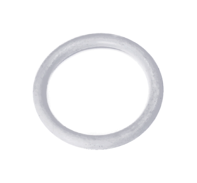 O-ring nel gruppo  presso GPLSHOP (5204128-01)