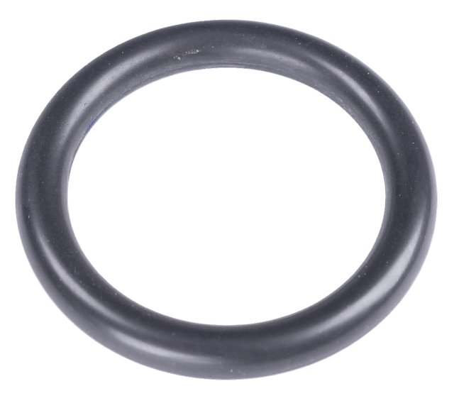 O-Ring Ø24X4 5204836-01