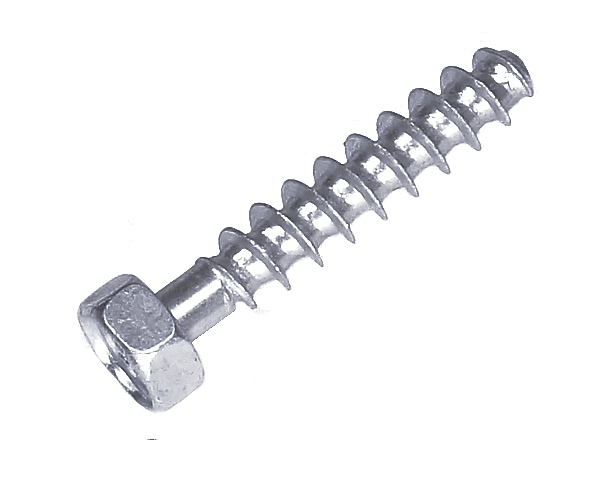 Vite Pt nel gruppo  presso GPLSHOP (5205077-01)