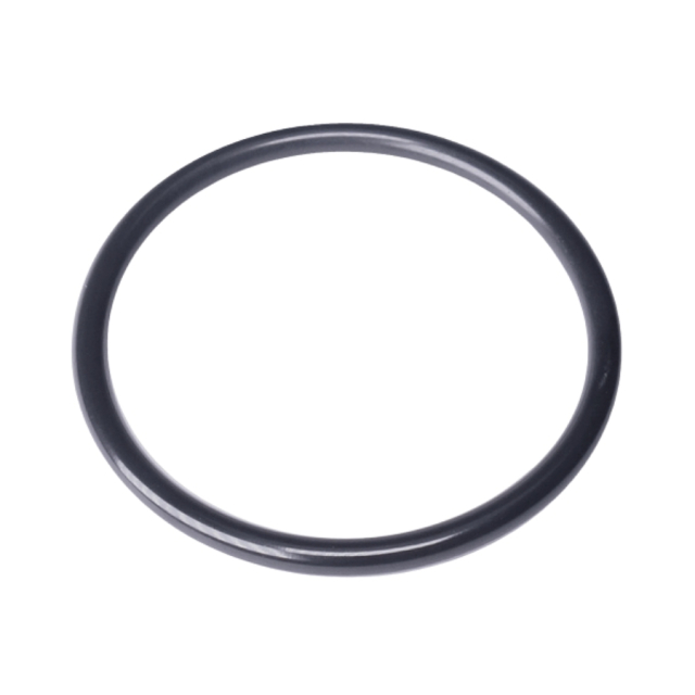 Anello Or 32X2.50 5205531-01