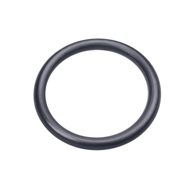 O-Ring 5205594-01
