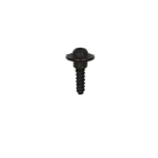 Titolare 5300163-79