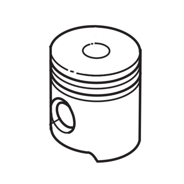 Pistone Kpl 5310049-30