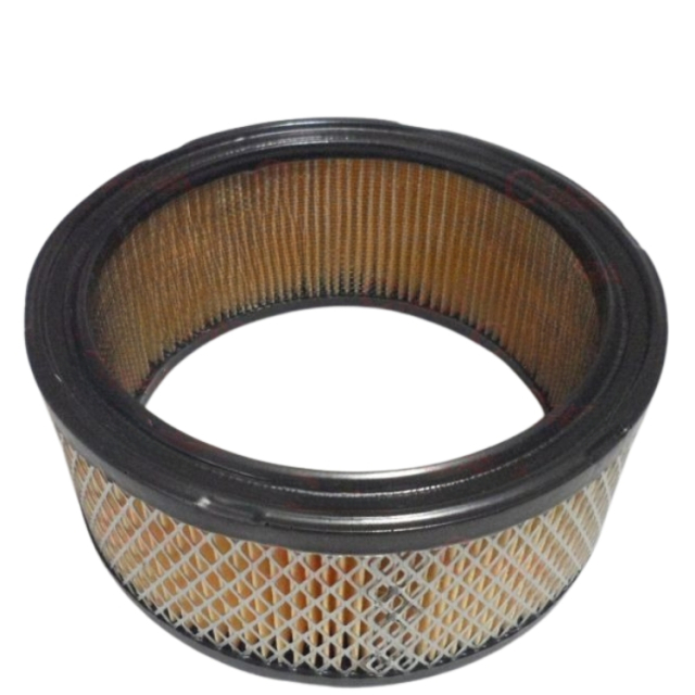 Filtro Dell'Aria 5310295-09