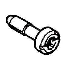 Vite a testa esagonale con bottone