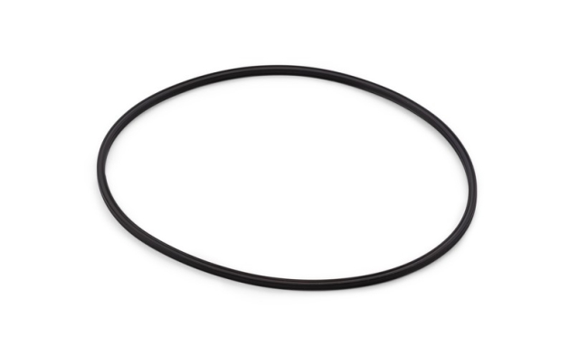 Tenuta Radiale 5744558-01