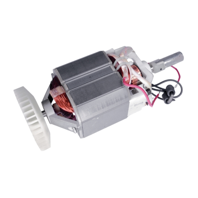 Motore Elettrico 5747262-01