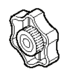 Germoglio 5762652-01