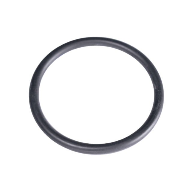 O-Ring 5784724-01