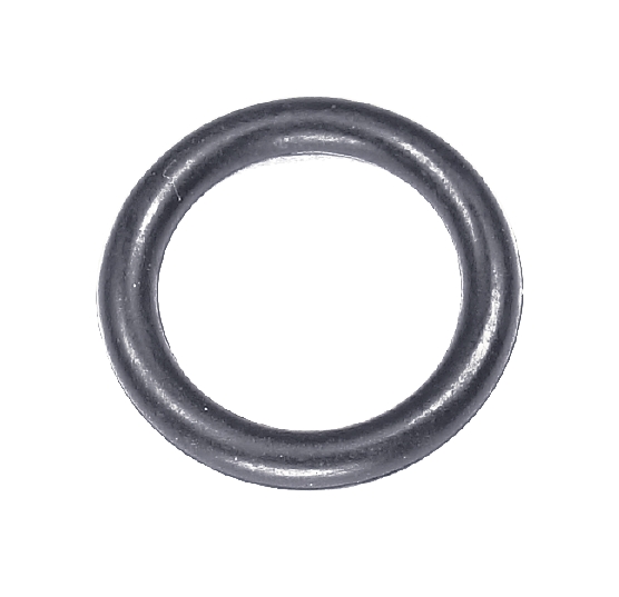 O-ring nel gruppo  presso GPLSHOP (5790924-01)