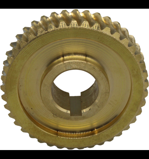 Conchiglia 5803641-01