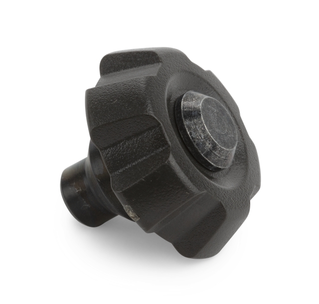 Germoglio 5806818-01
