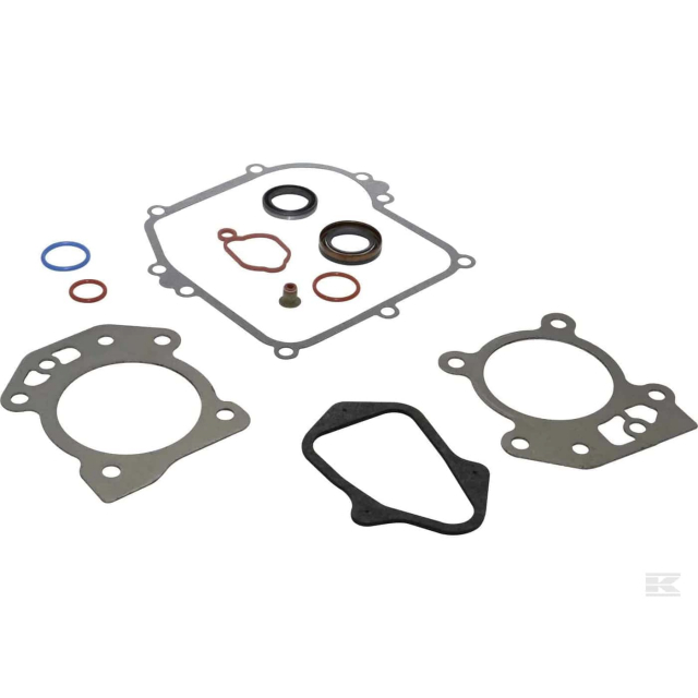 Kit guarnizioni B&S 595350
