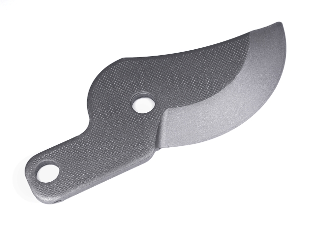 Foglia 5855591-01