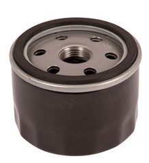 Filtro Olio B&S 696854 5857304-01