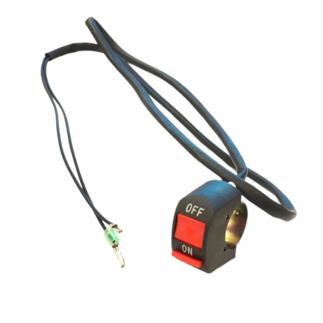 Interruttore 5879494-01