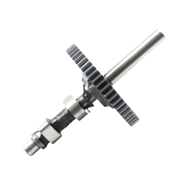 Albero A Camme B&S 695285 5896698-63