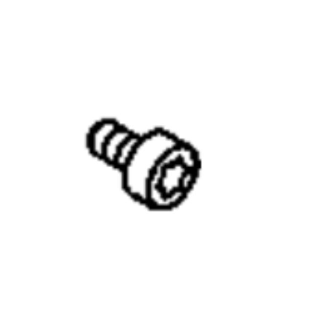 Vite Interna Testa Torx M 6 X 5913770-01