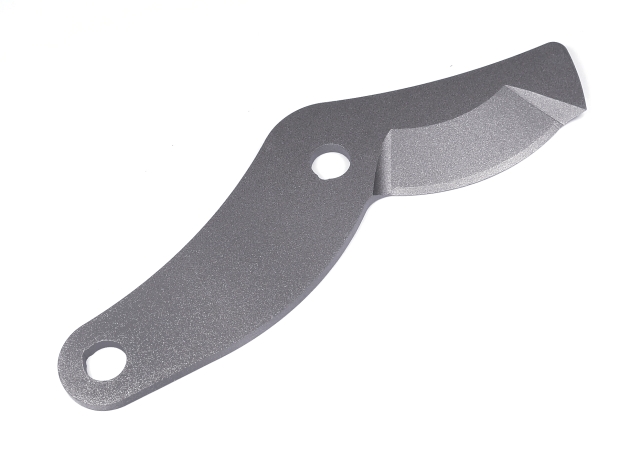 Foglia 5939948-01